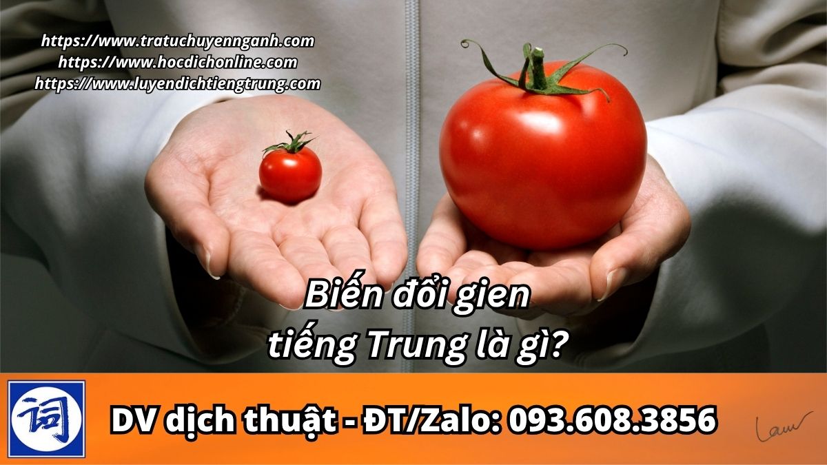Biến đổi gien tiếng Trung là gì?
