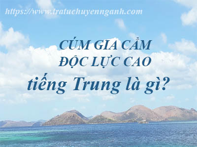 cum gia cam oc luc cao 77726746