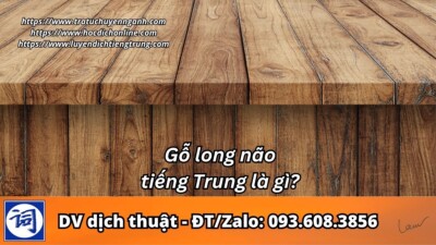 Gỗ long não tiếng Trung là gì?