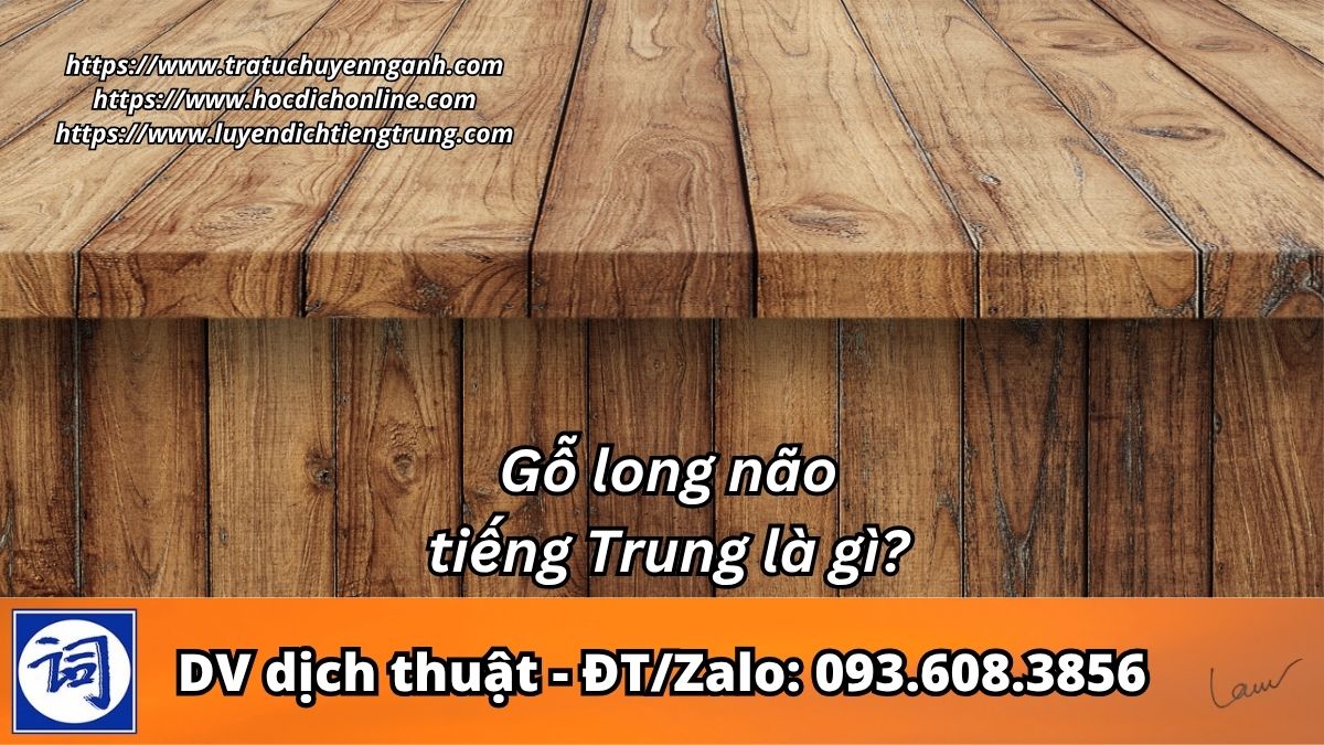 Gỗ long não tiếng Trung là gì?