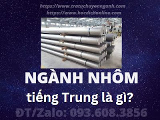 nganh20nhom