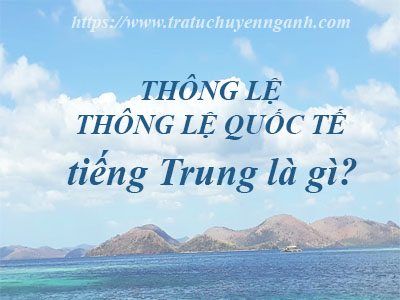 thong le 153488336