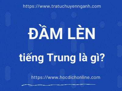 am len 28143093