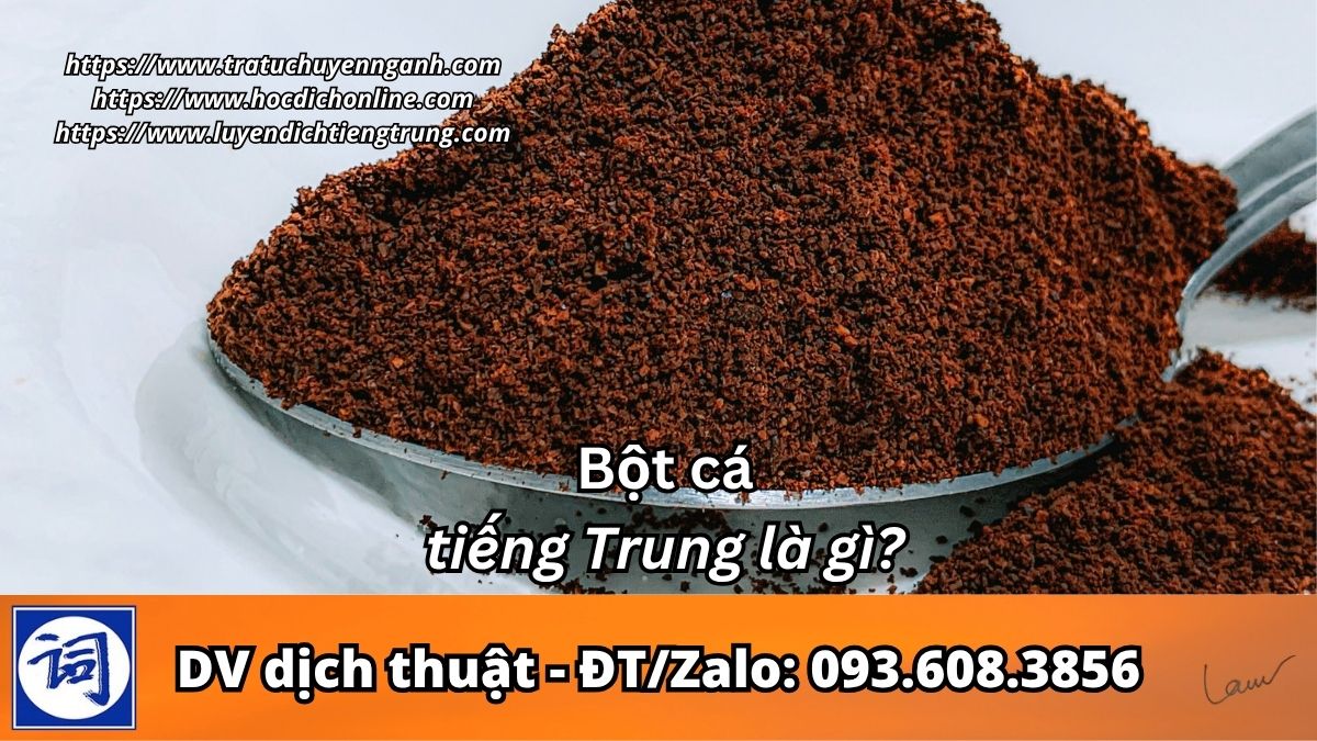 Bột cá tiếng Trung là gì?