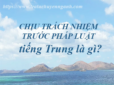 Chịu trách nhiệm trước pháp luật tiếng Trung là gì? 1 chiu trach nhiem truoc phap luat 1746219343