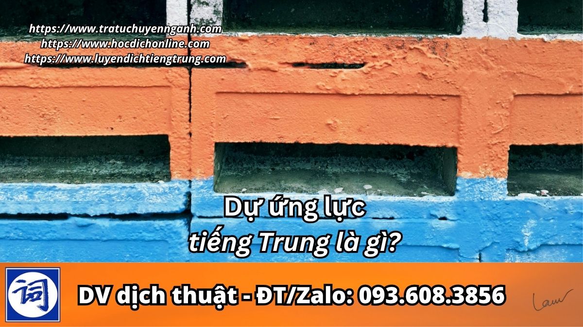Dự ứng lực tiếng Trung là gì? 3 Dự ứng lực tiếng Trung là gì?