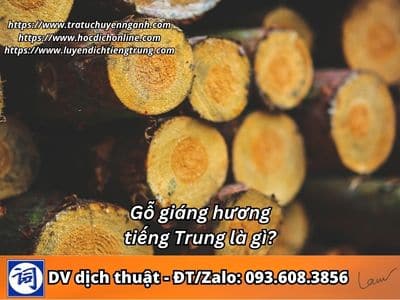 Gỗ giáng hương tiếng Trung là gì? 1 Gỗ giáng hương tiếng Trung là gì?