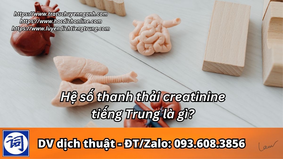 Hệ số thanh thải creatinine tiếng Trung là gì?