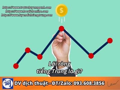 Lãi ròng tiếng Trung là gì?