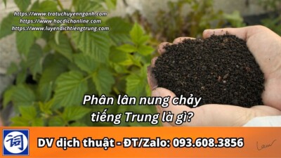 Phân lân nung chảy tiếng Trung là gì?