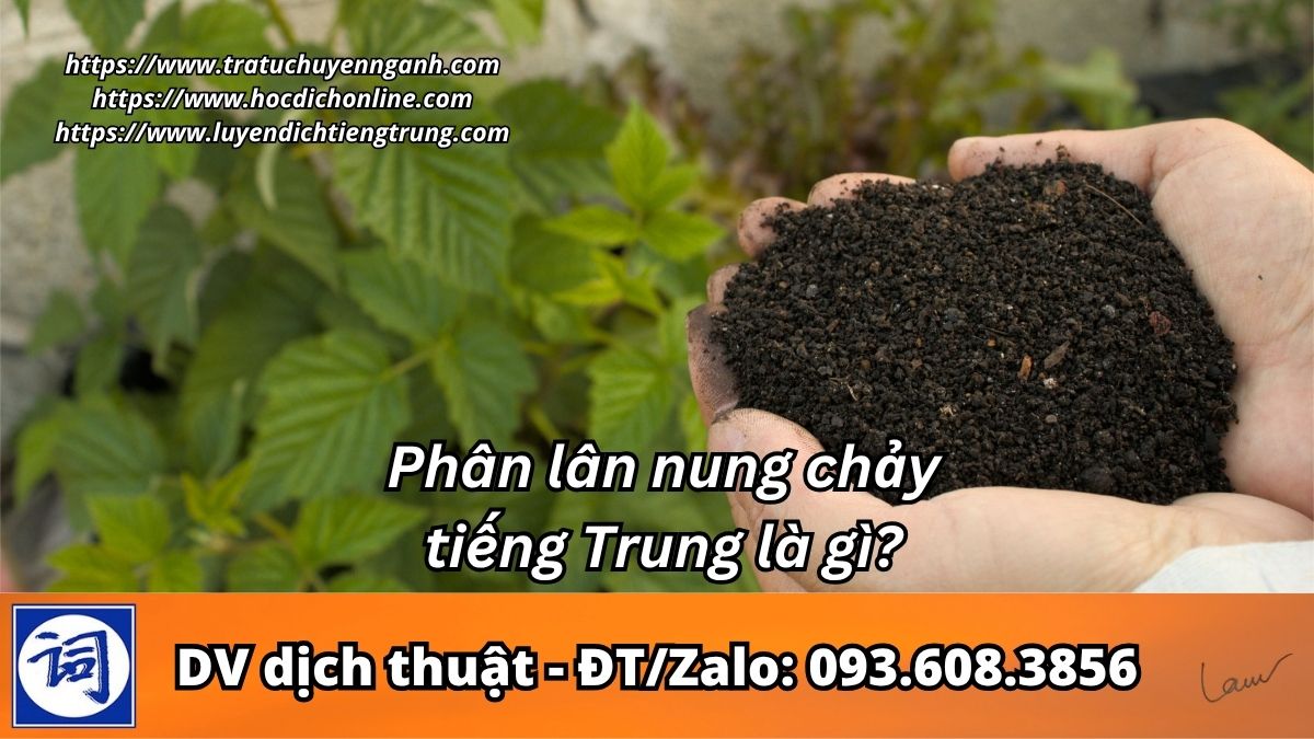 Phân lân nung chảy tiếng Trung là gì?