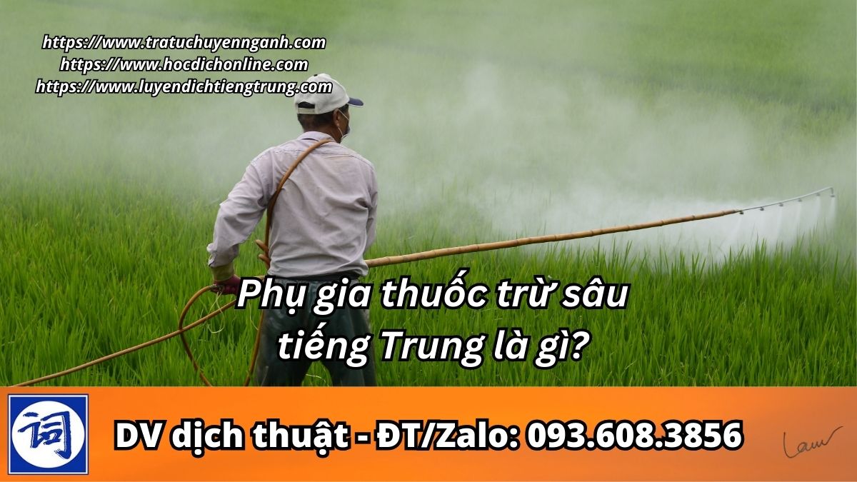Phụ gia thuốc trừ sâu tiếng Trung là gì?