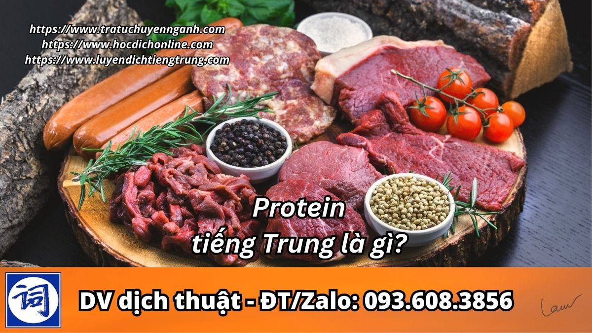 Protein tiếng Trung là gì? 3 Protein tiếng Trung là gì?