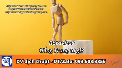 Rotavirus tiếng Trung là gì?
