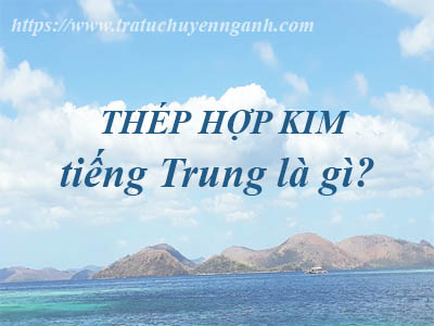 thep hop kim 957980200