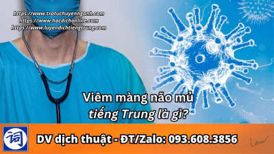 Viêm màng não mủ tiếng Trung là gì?