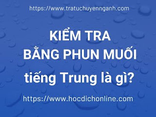 https://tratuchuyennganh.com Kiểm tra bằng phun muối tiếng Trung là gì?