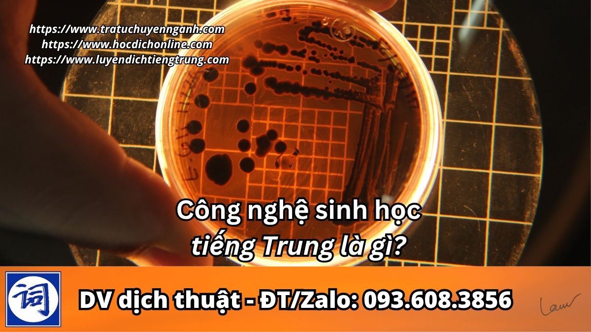 Công nghệ sinh học tiếng Trung là gì?
