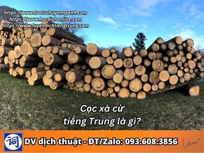 Cọc xà cừ tiếng Trung là gì?