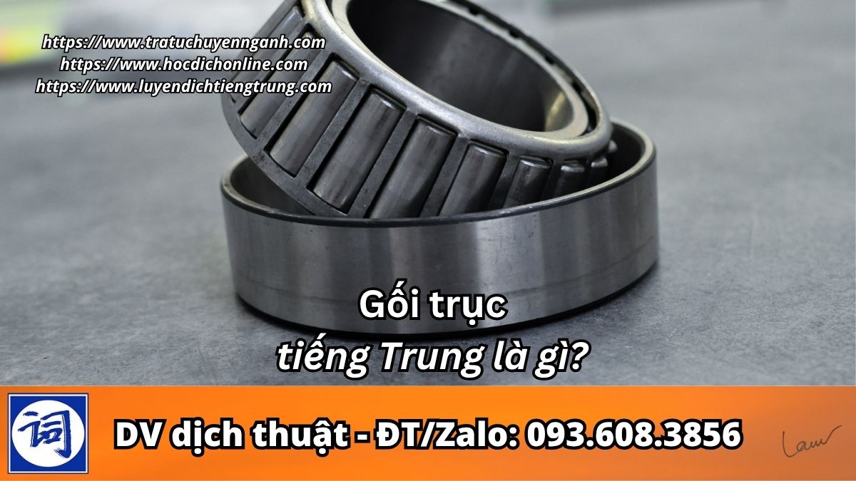 Gối trục tiếng Trung là gì?