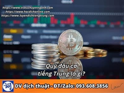 Quỹ đầu cơ tiếng Trung là gì?