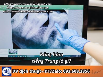 Răng hàm tiếng Trung là gì?