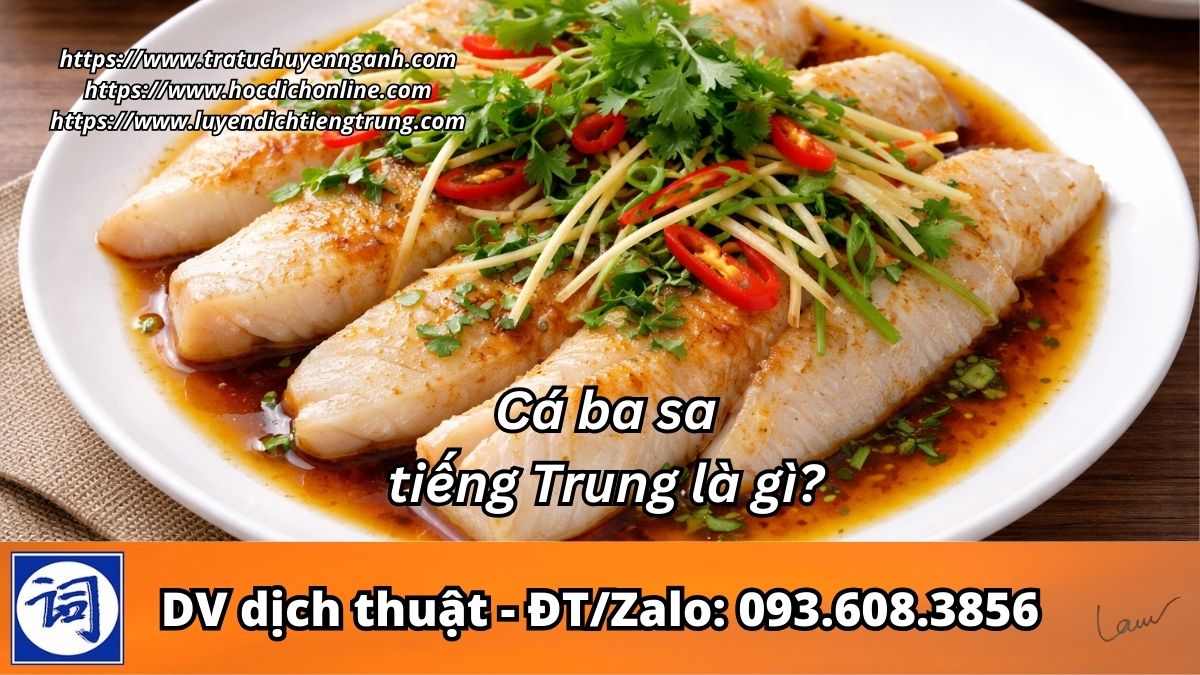 Cá ba sa tiếng Trung là gì?