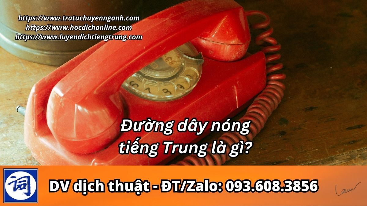 Đường dây nóng tiếng Trung là gì?