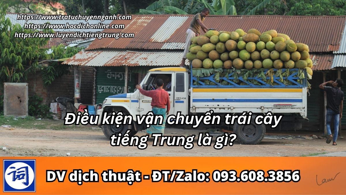 Điều kiện vận chuyển trái cây tiếng Trung là gì?