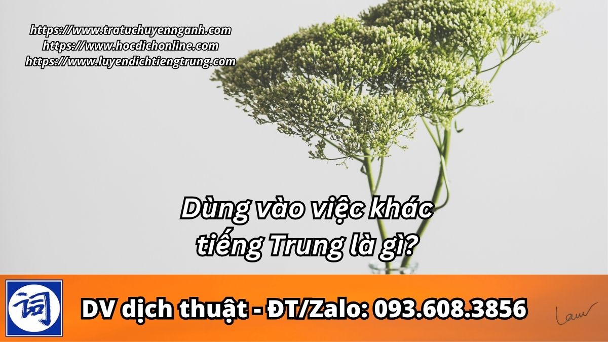 Dùng vào việc khác tiếng Trung là gì?
