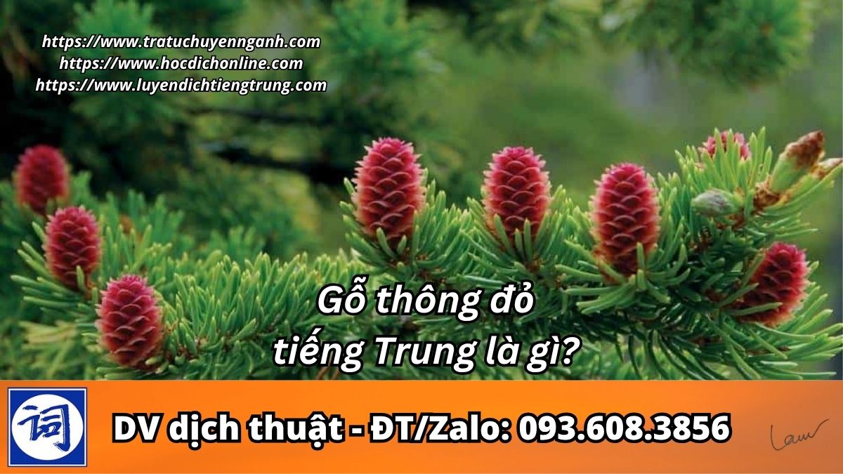 Gỗ thông đỏ tiếng Trung là gì? 1 Gỗ thông đỏ tiếng Trung là gì?
