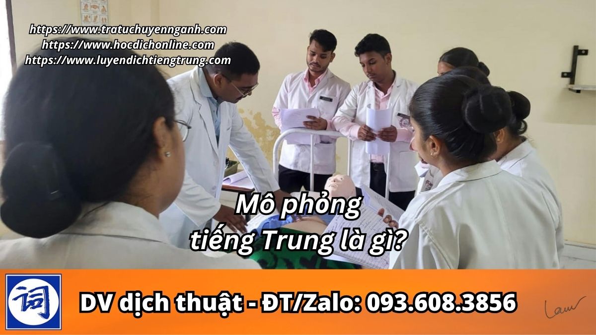 Mô phỏng tiếng Trung là gì?