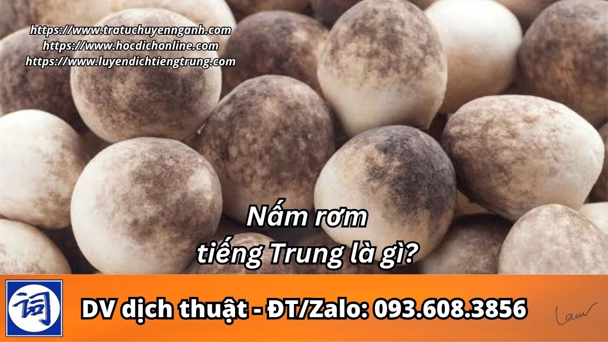 Nấm rơm tiếng Trung là gì? 1 Nấm rơm tiếng Trung là gì?