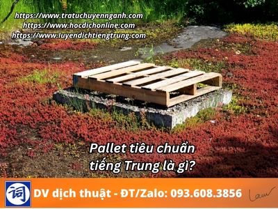 Pallet tiêu chuẩn tiếng Trung là gì?