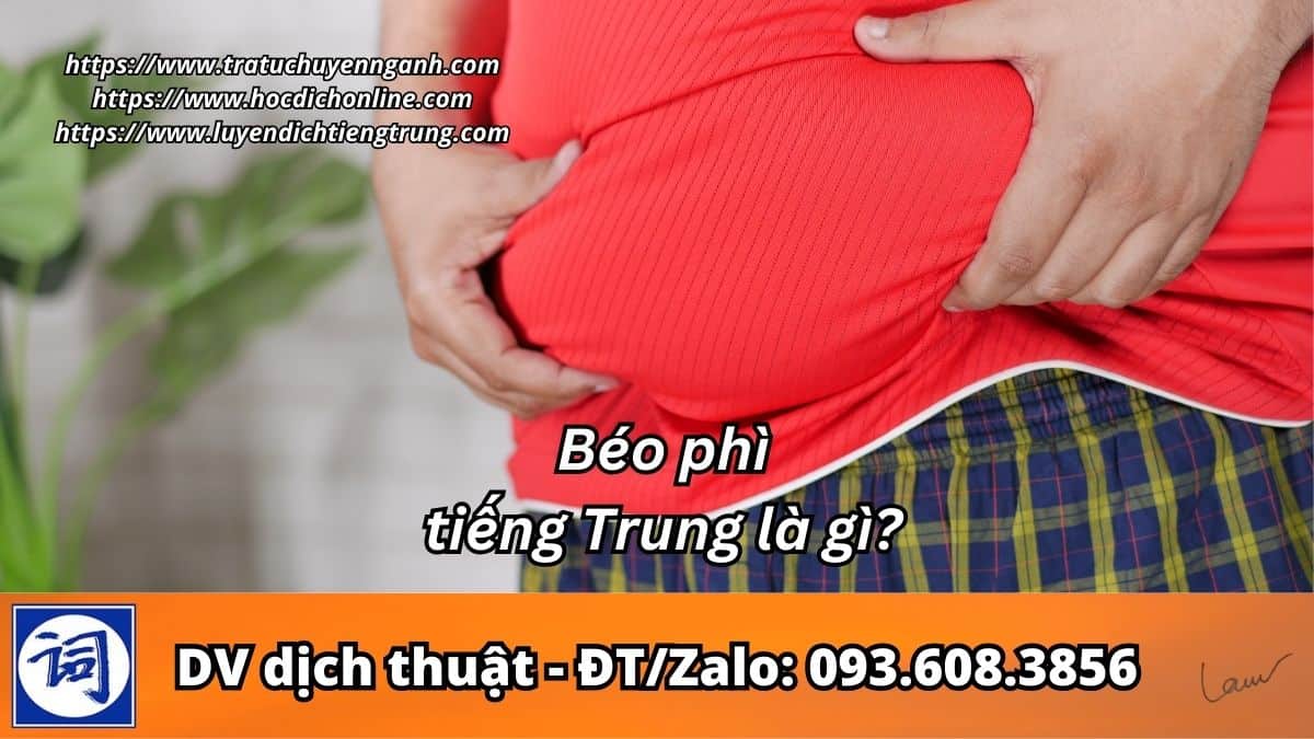 Béo phì tiếng Trung là gì?
