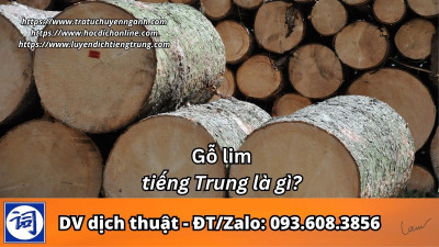 Gỗ lim tiếng Trung là gì?