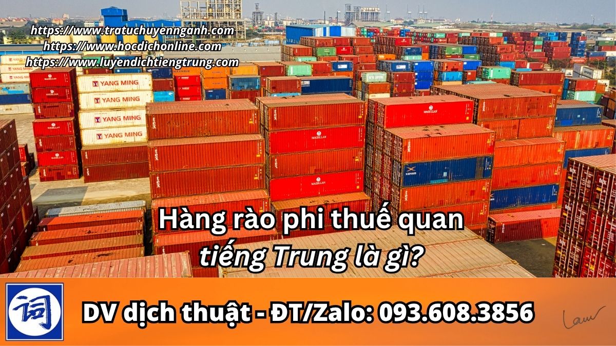 Hàng rào phi thuế quan tiếng Trung là gì?