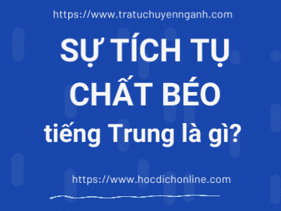 Sự tích tụ chất béo 1 su tich tu chat beo 1674861167