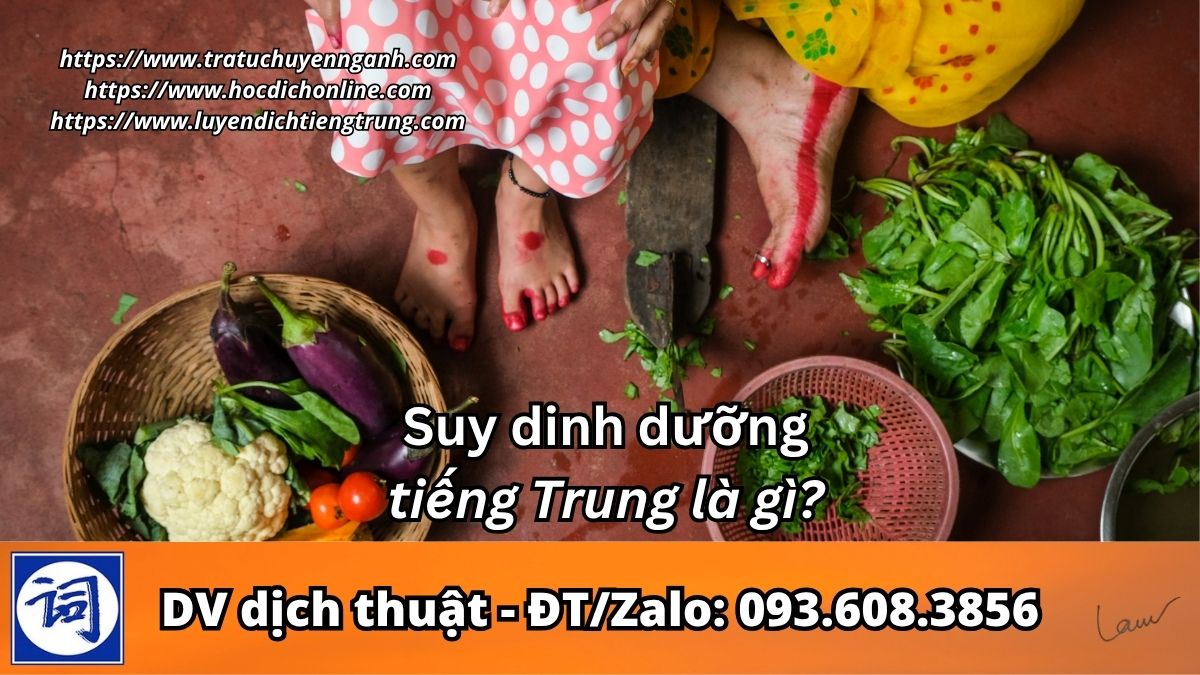 Suy dinh dưỡng tiếng Trung là gì?