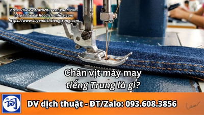 Chân vịt máy may tiếng Trung là gì?