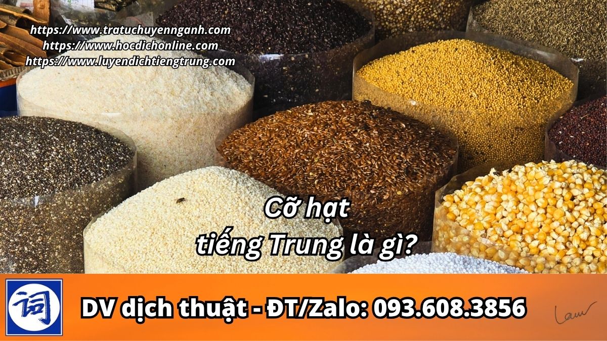 Cỡ hạt tiếng Trung là gì?