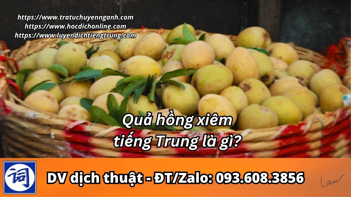Quả hồng xiêm tiếng Trung là gì?