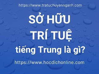 Sở hữu trí tuệ tiếng Trung là gì?
