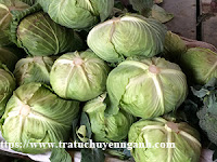 bapcai