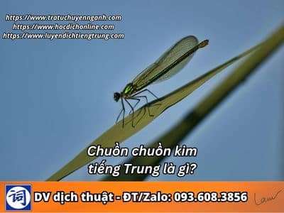 Chuồn chuồn kim tiếng Trung là gì?