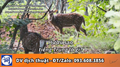 Hươu sao tiếng Trung là gì?