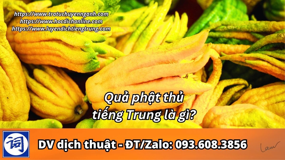 Quả phật thủ tiếng Trung là gì?