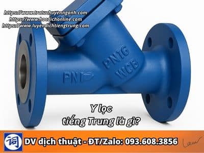 Y lọc tiếng Trung là gì?