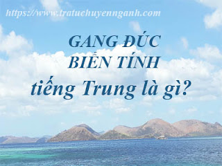 GANGDUCBIENTINH