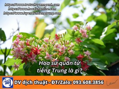 Hoa sử quân tử tiếng Trung là gì?
